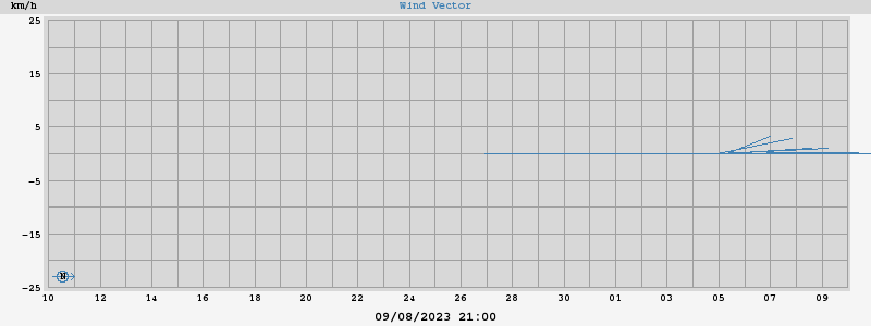 Wind Vector