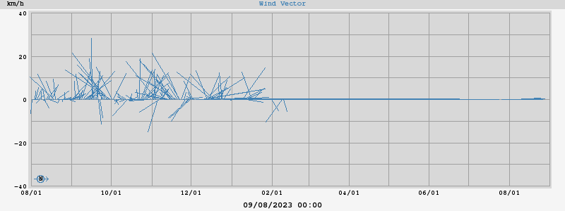 Wind Vector