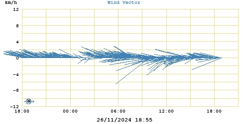 Wind Vector